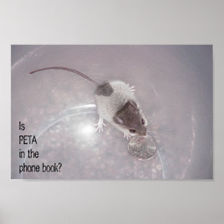 Poster Un appel Dernier