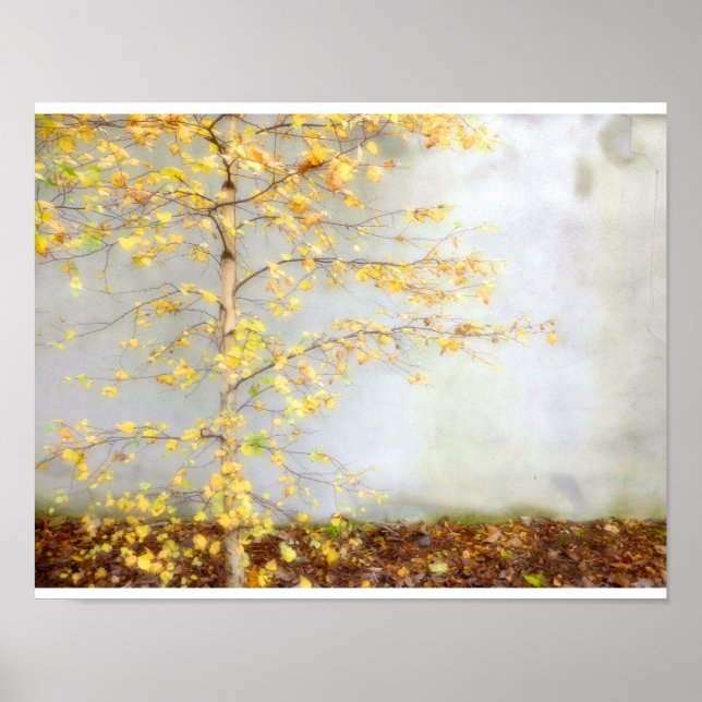 Poster Un arbre (Devant)