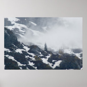 Poster Un arbre dans la brume