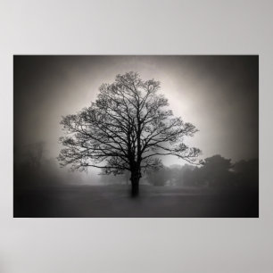 Poster Un arbre dans le brouillard