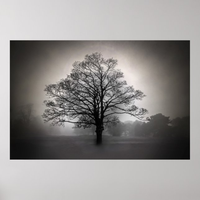 Poster Un arbre dans le brouillard (Devant)