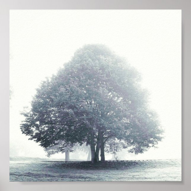 Poster Un arbre dans le brouillard (Devant)