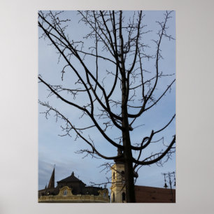 Poster un arbre en herbe
