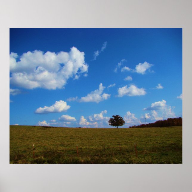 Poster Un arbre solitaire (Devant)