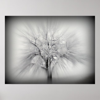 Poster Un arbre solitaire dans la prairie ND