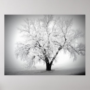 Poster un arbre solitaire sur la prairie de ND