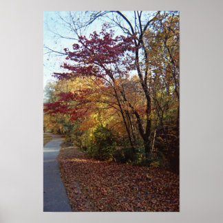 Poster Un Beau Arbour