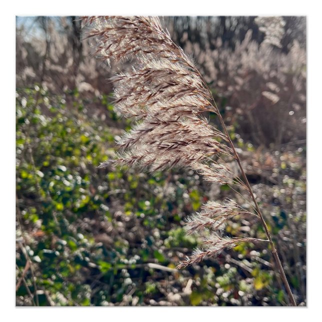 Poster Un bonheur d'automne... (Devant)