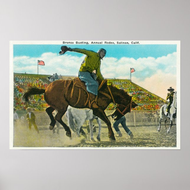 Poster Un bouclier au Rodéo annuel de Salinas (Devant)