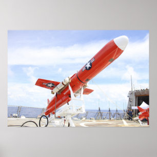 Poster Un bourdon de BQM-74E Chukar prêt pour le