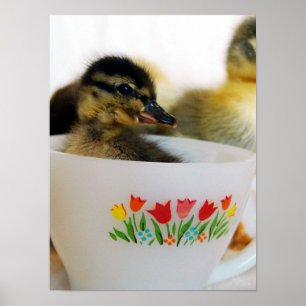 Poster Un canard dans un thé