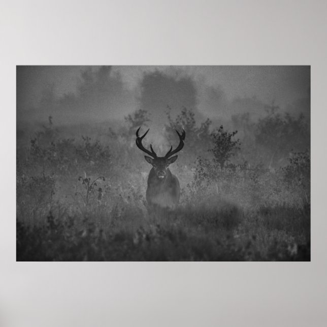 Poster Un Cerf Dans La Poitrine (Devant)