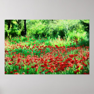 Poster Un Champ D'Art Paysager Fleur sauvage Rouge