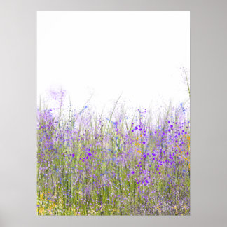 Poster Un champ de fleurs sauvages violets