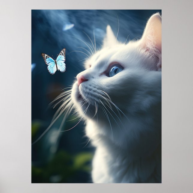 Poster Un chat blanc aux yeux bleus regarde un papillon (Devant)