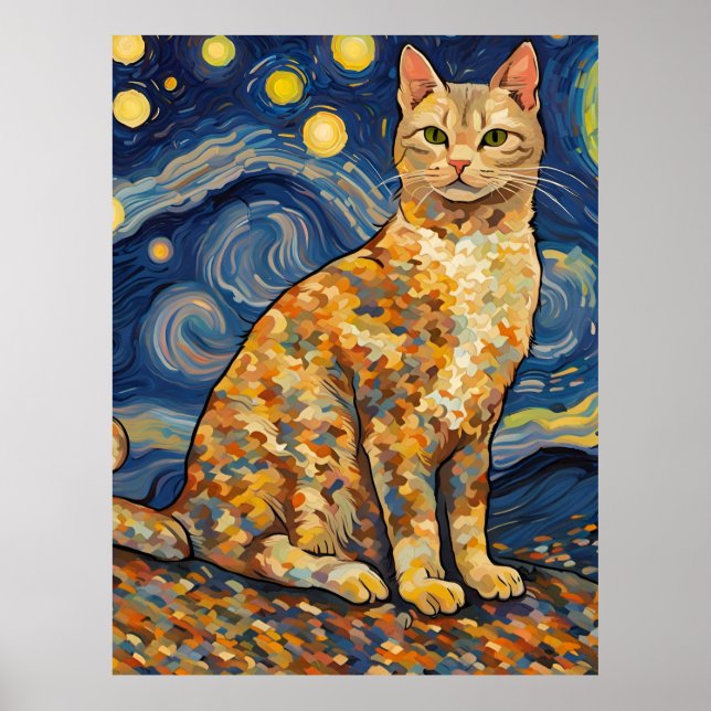 Poster Un chat dans la nuit étoilée (Devant)