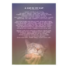 Un chat dans ma poche