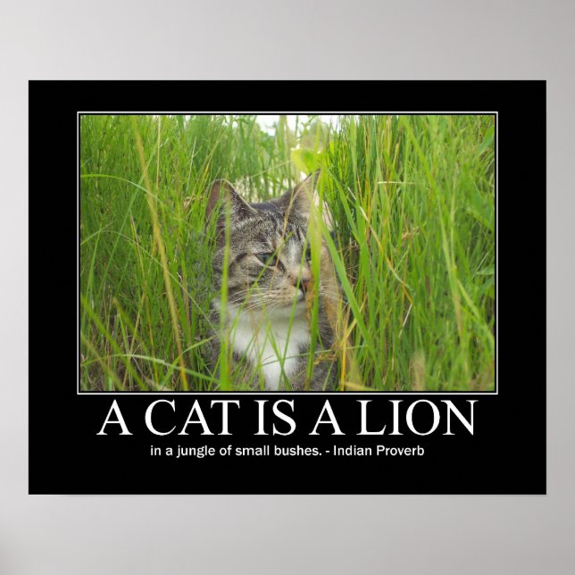 Poster Un chat est une oeuvre de proverbe Lion indien (Devant)