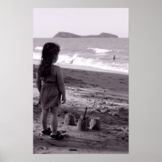 Poster Un château en bord de mer