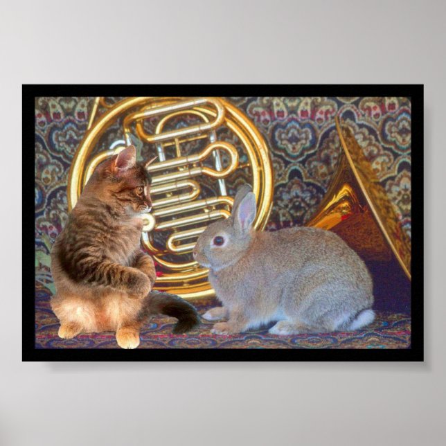 Poster Un chaton, un lapin et une corne française (Devant)