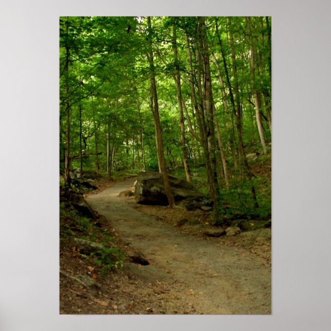 Poster Un chemin dans les bois (Devant)