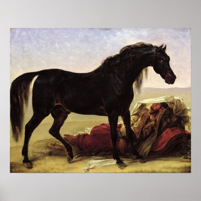 Poster Un cheval arabe (Devant)