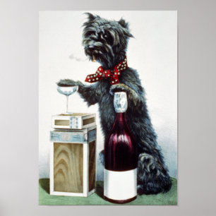 Poster Un chien méchant