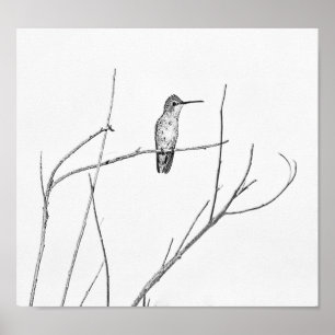 Poster Un colibri sur un bâton