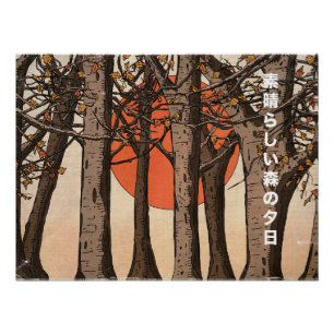 Poster Un coucher de soleil merveilleux en forêt
