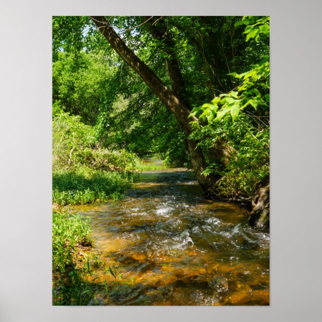 Poster Un Country Creek (Devant)