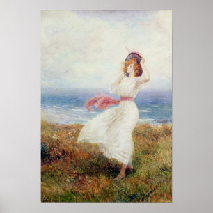 Poster Un coup sur les falaises