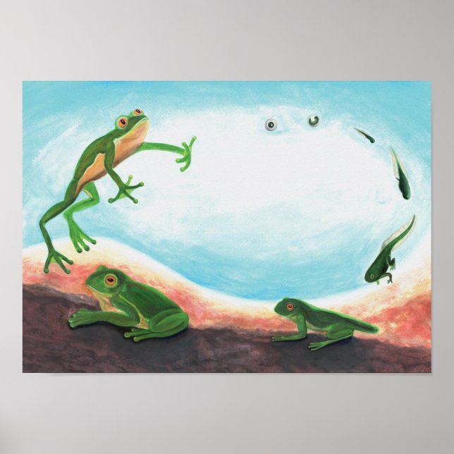 Poster Un cycle de vie étonnant d'une grenouille (Devant)