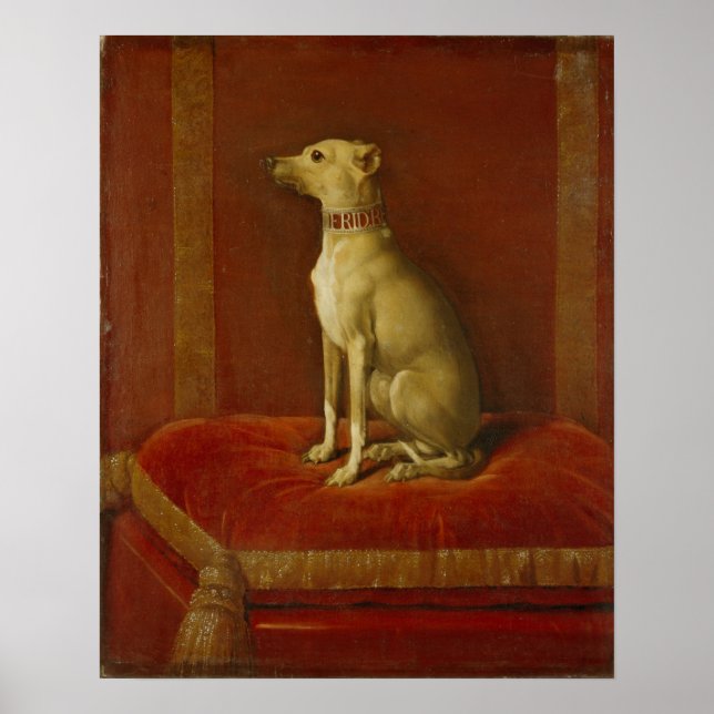 Poster Un des greyhounds italiens de Frederick II (Devant)