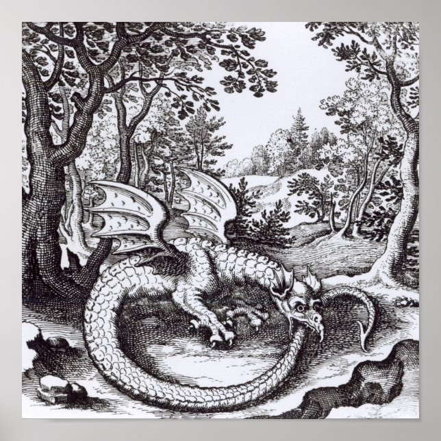 Poster Un dragon dans la forêt (Devant)
