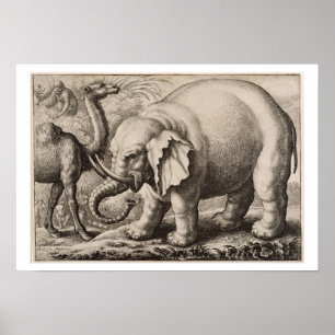 Poster Un éléphant et un chameau, gravé par Wenceslaus Ho