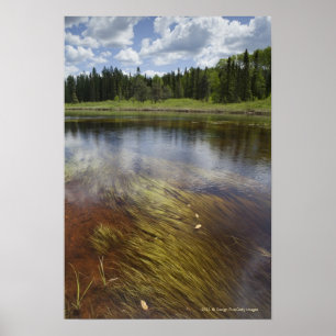 Poster Un étang immobile reflétant les nuages