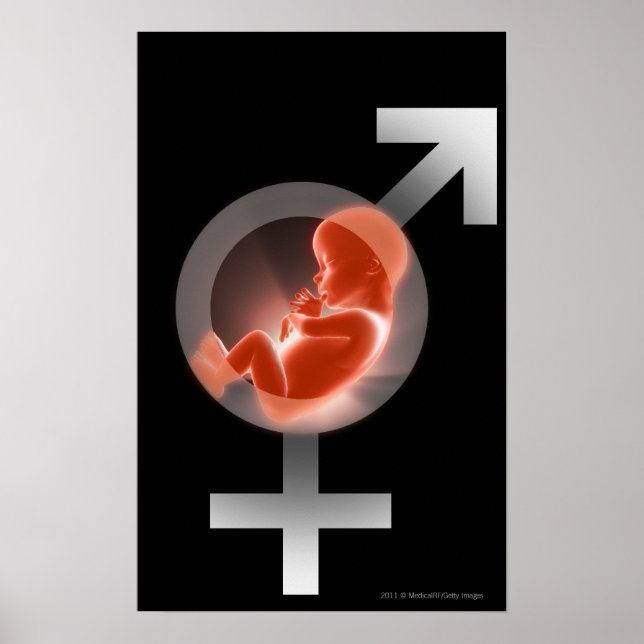 Poster Un foetus surélevé par rapport aux symboles mâles  (Devant)