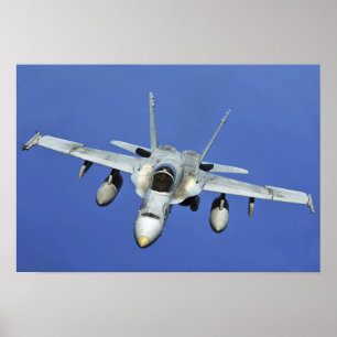 Poster Un frelon F/A-18 participe à une mission