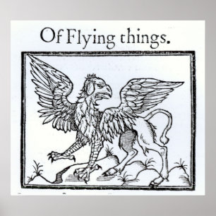 Poster Un griffon
