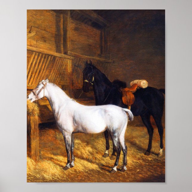 Poster Un Gris et un cheval noir dans un Stable (Devant)