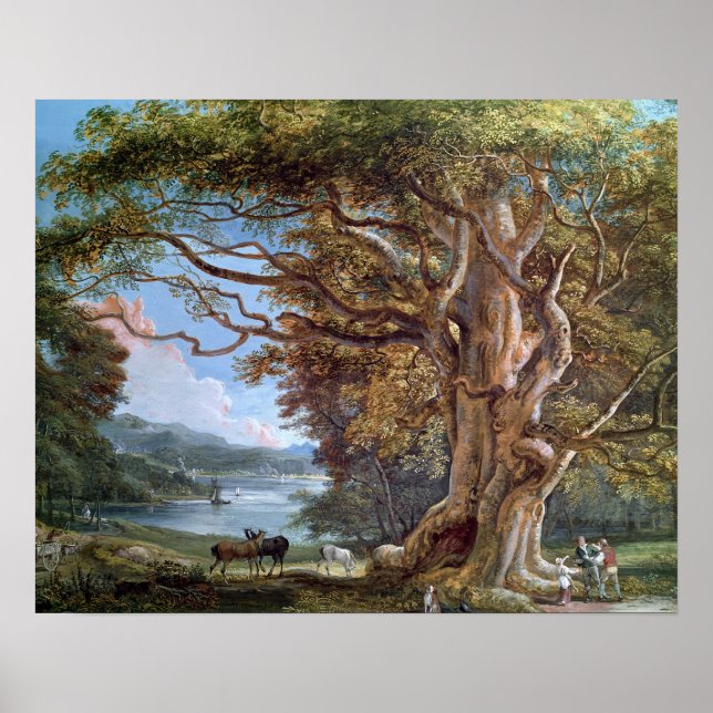 Poster Un hêtre ancien, 1794 (huile sur toile) (Devant)