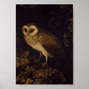 Poster Un hibou par Moses Haughton l'Aîné