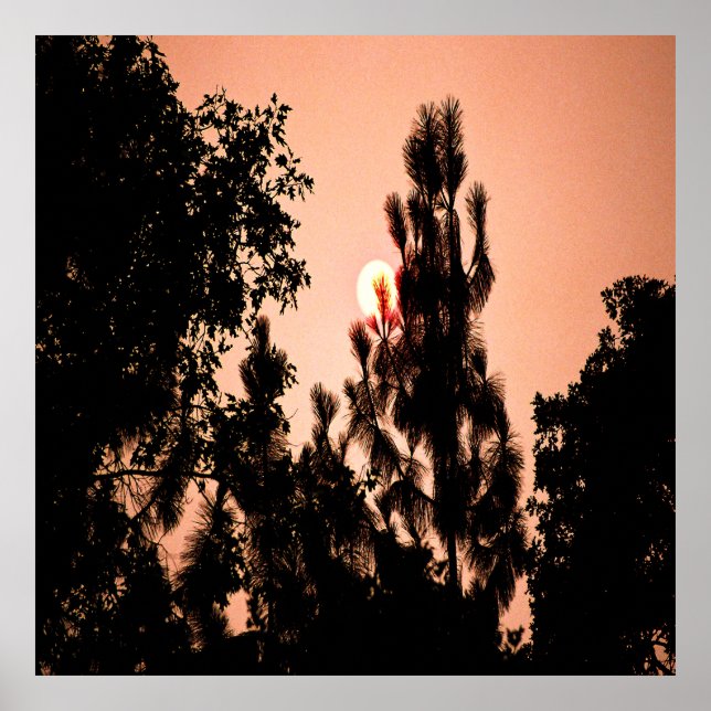 Poster Un incendie dans la vallée de l'Inde....... (Devant)