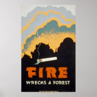 Un incendie détruit une forêt