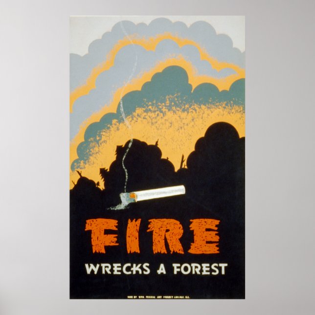 Poster Un incendie détruit une forêt (Devant)