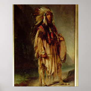 Poster Un Indien nord-américain dans un paysage étendu,