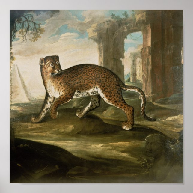 Poster Un Jaguar (Devant)