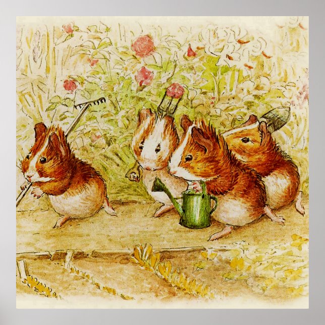 Poster Un jardin de cochons de Guinée par Beatrix Potter (Devant)