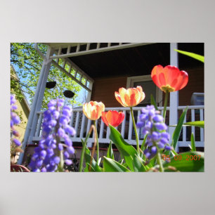 Poster Un jardin de printemps