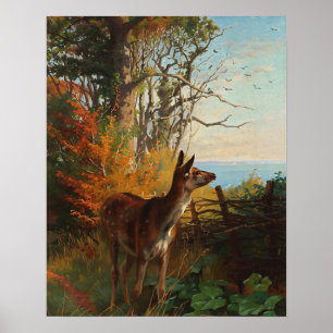 Poster Un Joli Cerf En Forêt